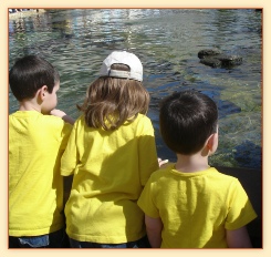 Tide Pools are a great afternoon out with the kids idea.