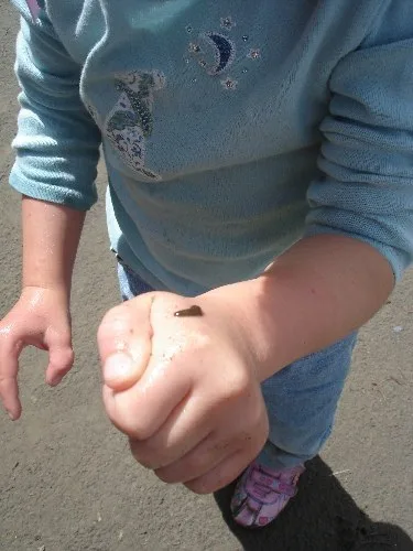 Child holding a tiny frog