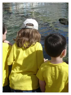 Two kids in yellow shirts looking into a fish pond